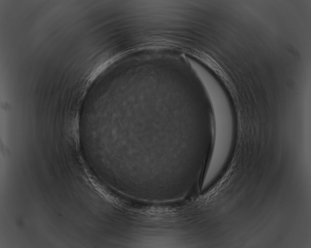 X0000090700842200708031412