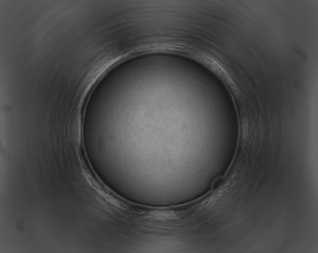 X0000090700844200708031412