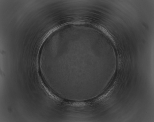 X0000090700845200708031412