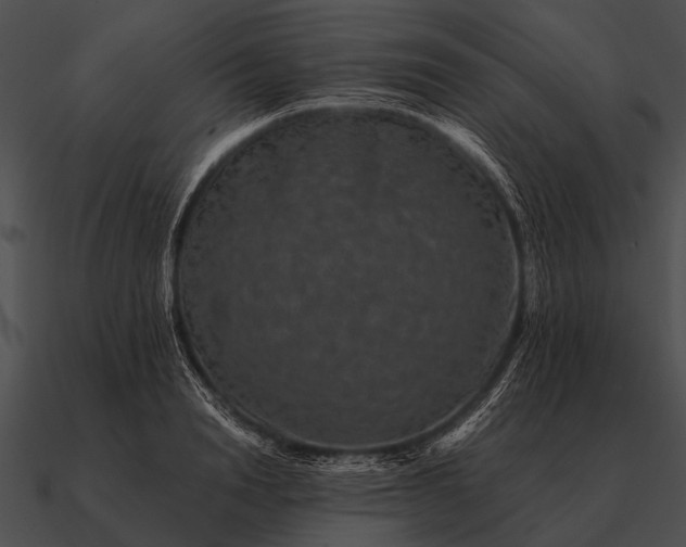 X0000090700846200708031412