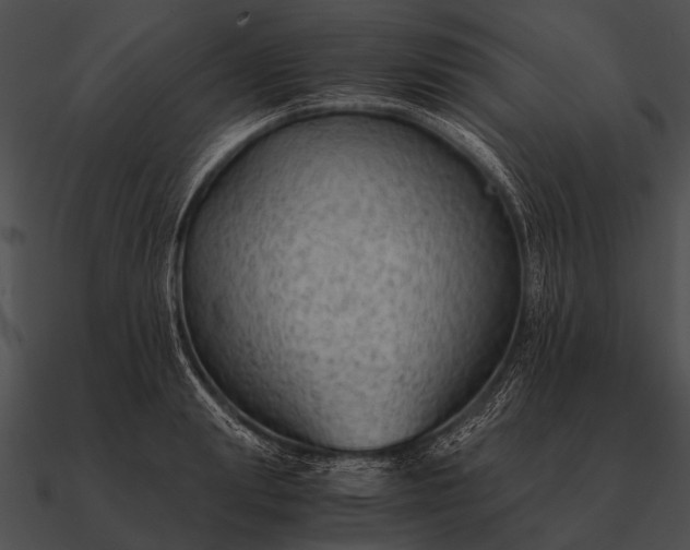 X0000090700847200708031412