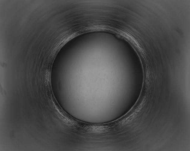 X0000090700849200708031412