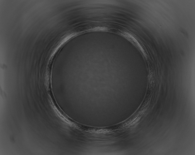 X0000090700851200708031412