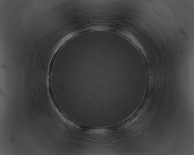 X0000090700853200708031412