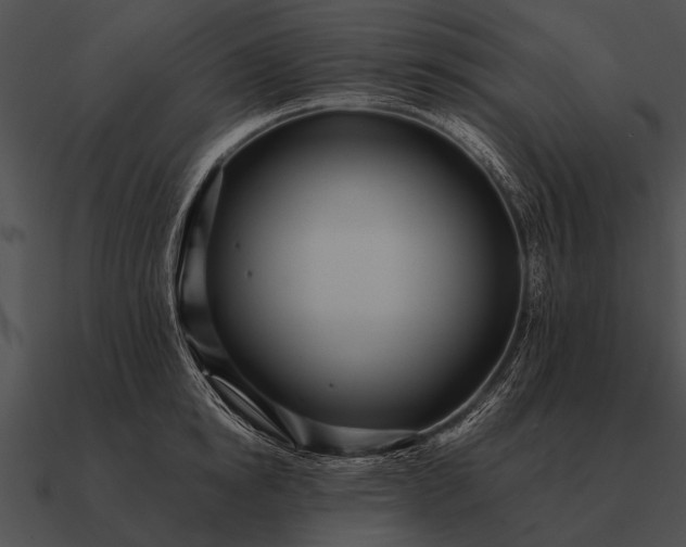 X0000090700854200708031412