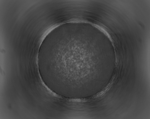 X0000090700855200708031412