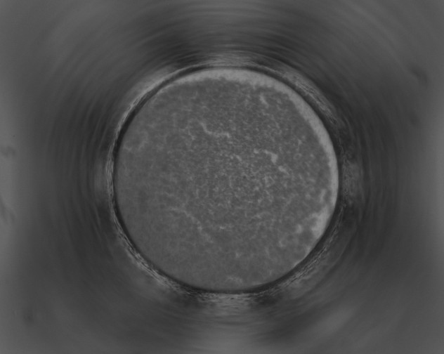 X0000090700856200708031412