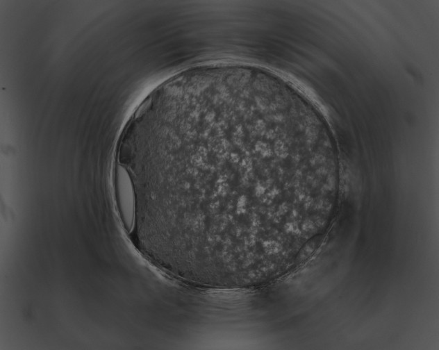 X0000090700863200708031412