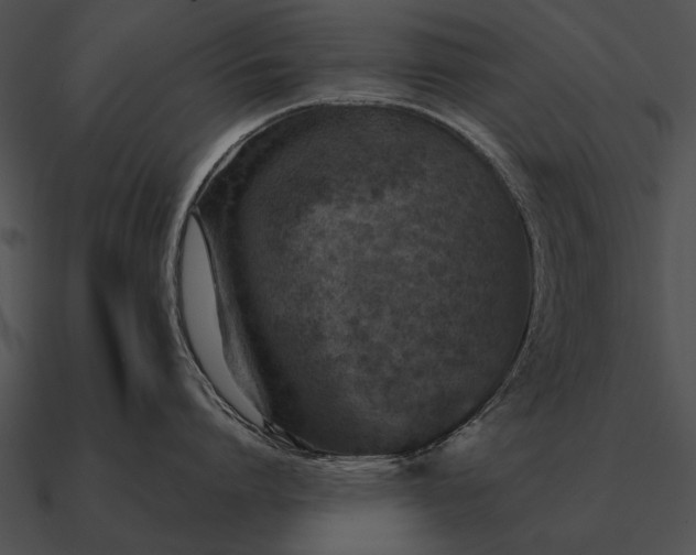 X0000090700864200708031412