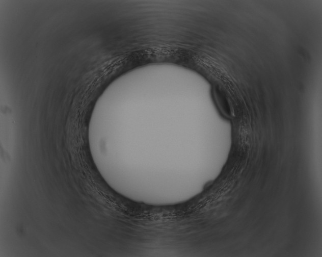 X0000090700865200708031411