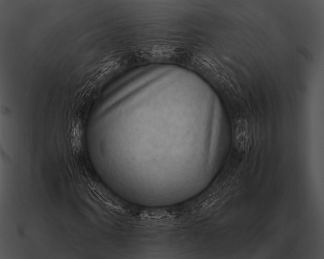 X0000090700866200708031411