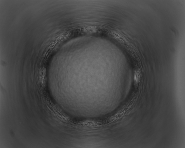 X0000090700867200708031411