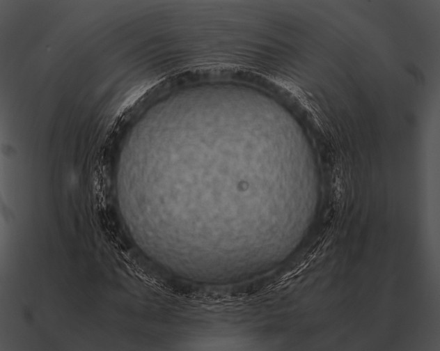 X0000090700871200708031411