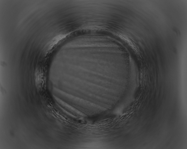 X0000090700872200708031411