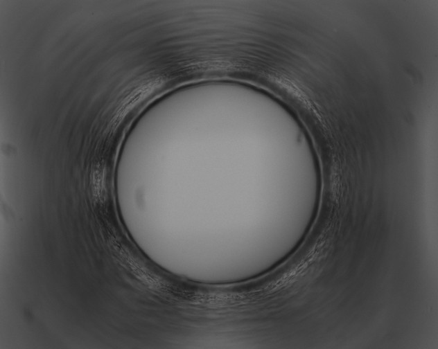 X0000090700873200708031411