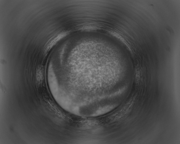 X0000090700874200708031411