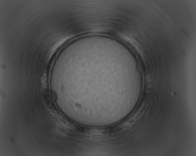 X0000090700875200708031411