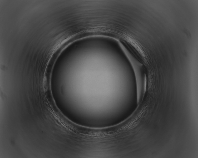 X0000090700876200708031411