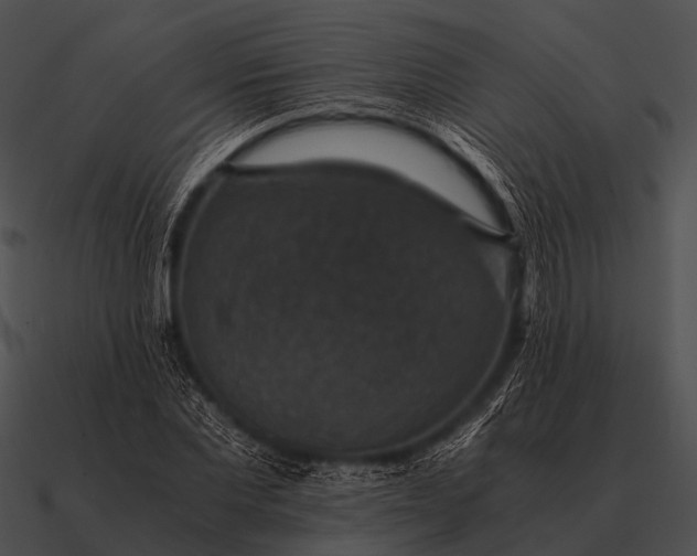 X0000090700877200708031411