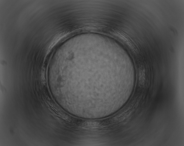 X0000090700878200708031411