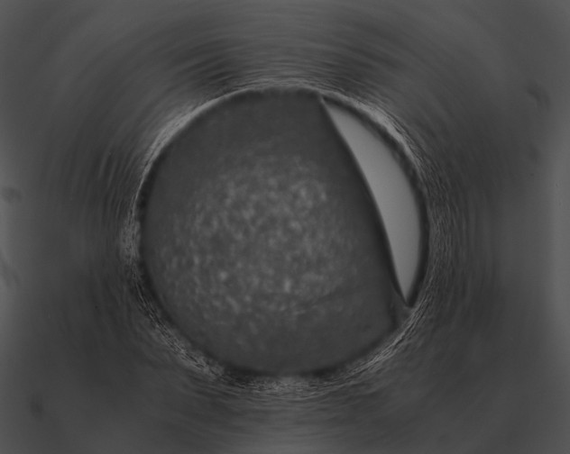 X0000090700879200708031411