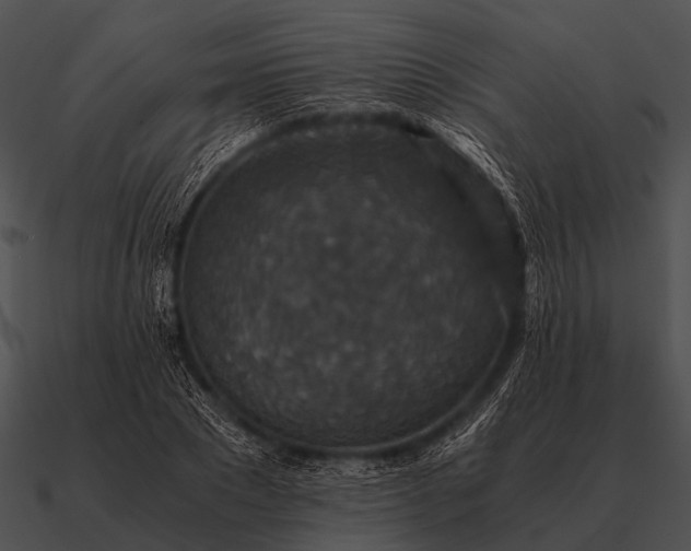 X0000090700881200708031411