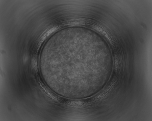 X0000090700882200708031411