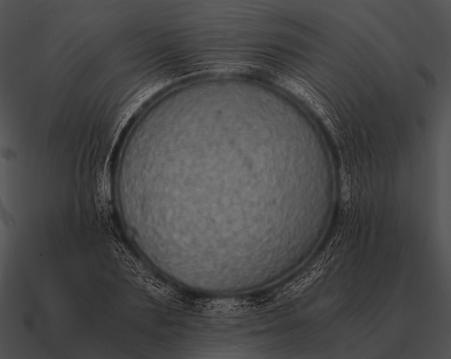 X0000090700883200708031411