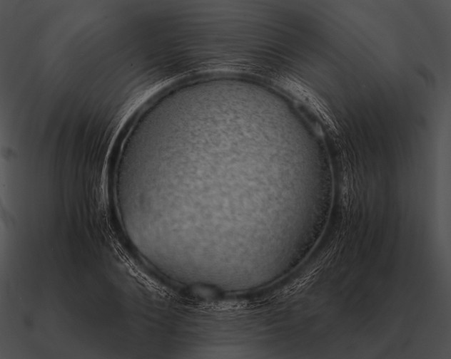 X0000090700884200708031411