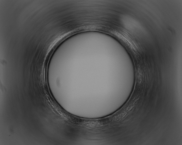 X0000090700886200708031411