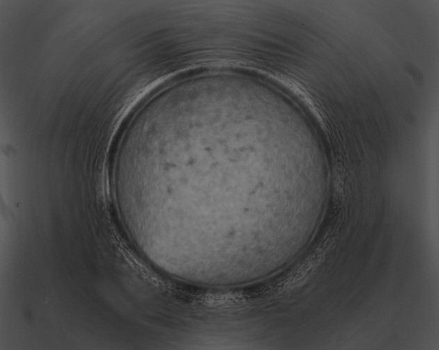 X0000090700887200708031411