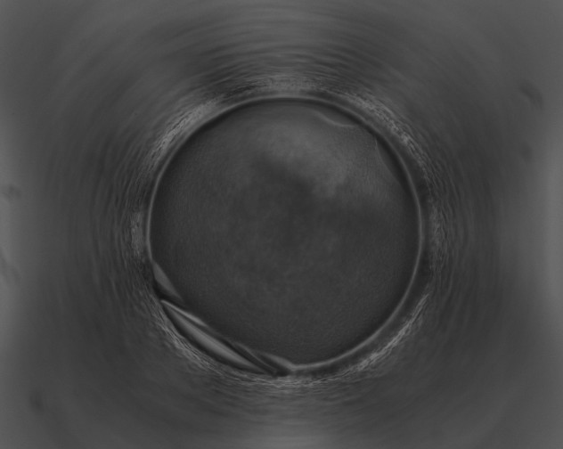 X0000090700889200708031411