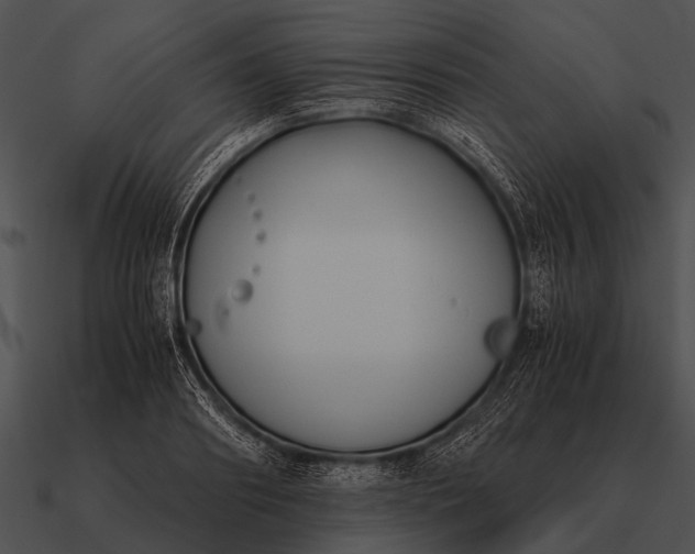 X0000090700890200708031411