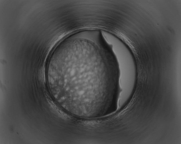 X0000090700892200708031411