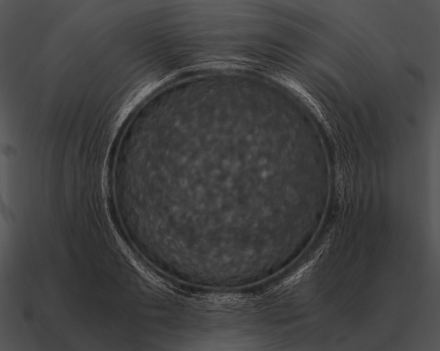 X0000090700893200708031411