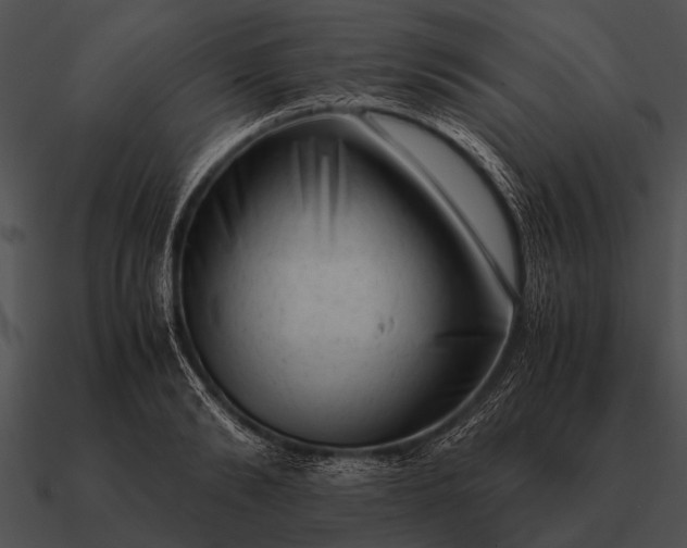 X0000090700894200708031411