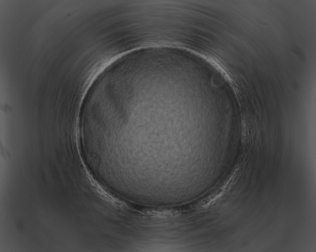 X0000090700895200708031411