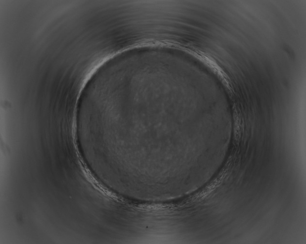 X0000090700896200708031411