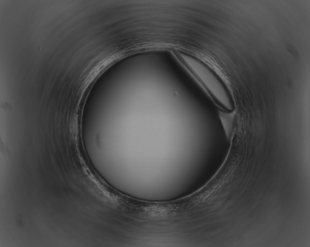 X0000090700898200708031411