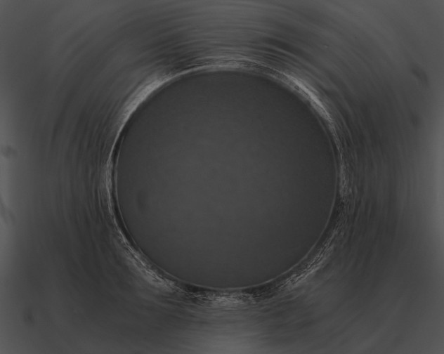 X0000090700899200708031411