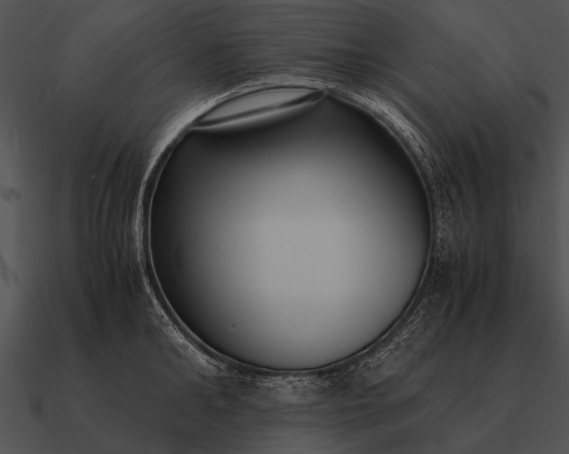 X0000090700902200708031411