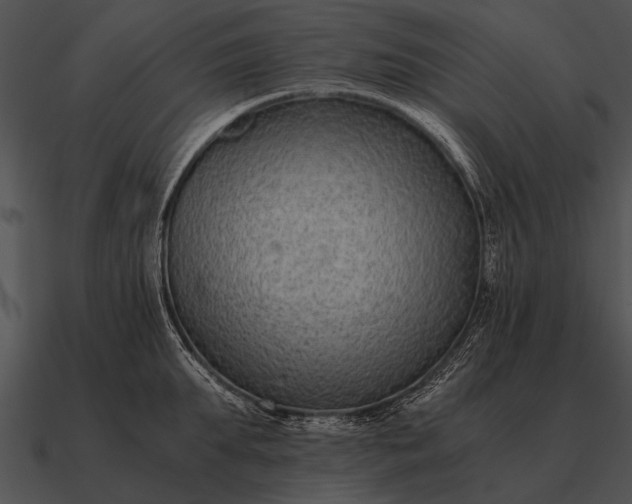 X0000090700903200708031411