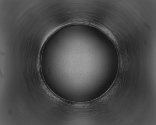 X0000090700904200708031411