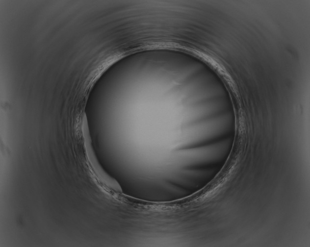 X0000090700905200708031411