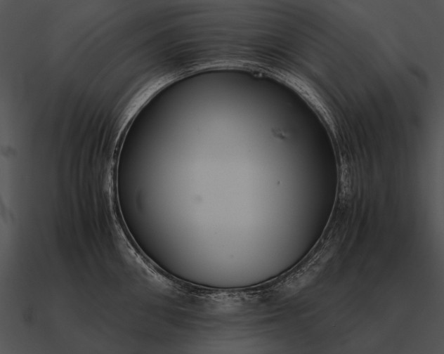 X0000090700906200708031411