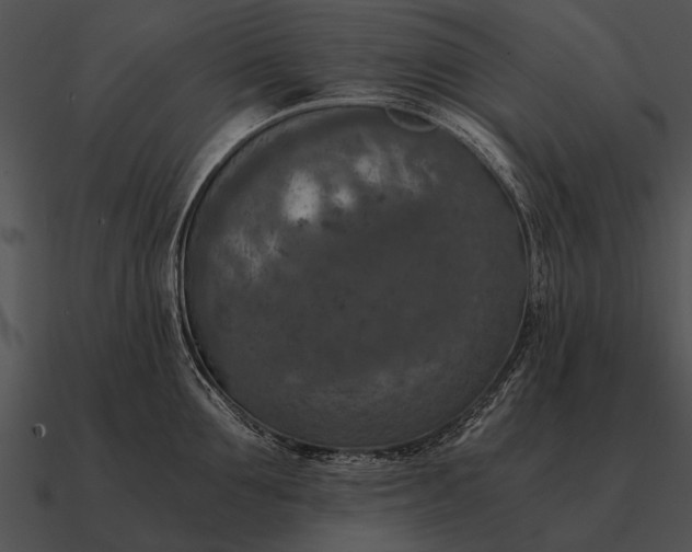 X0000090700907200708031411