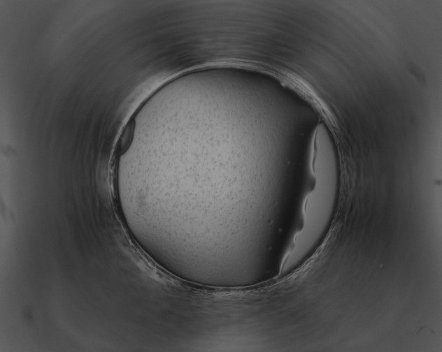 X0000090700908200708031411