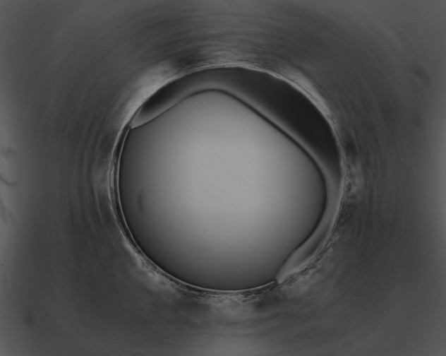 X0000090700909200708031411