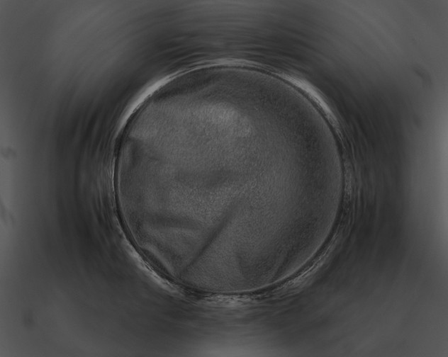 X0000090700910200708031411