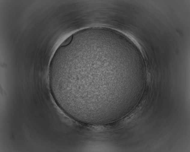 X0000090700911200708031411